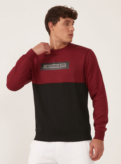 Panelled Sweatshirt with Crew Neck and Long Sleeves