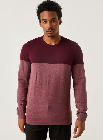 Dual-Tone Sweater with Long Sleeves and Crew Neck
