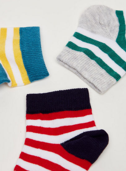 Set of 3 - Striped BCI Cotton Ankle Length Socks