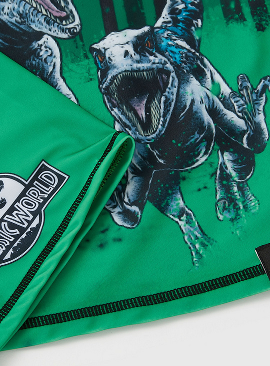 Jurassic Park Print Swim T-shirt and Shorts Set
