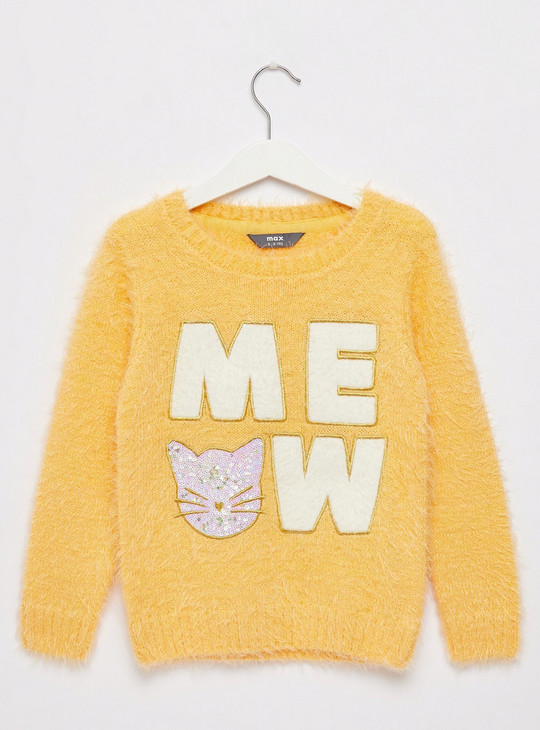 Embellished Cat Detail Sweater with Long Sleeves