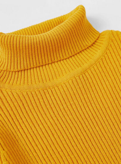 Ribbed Sweater with Long Sleeves and Roll Neck
