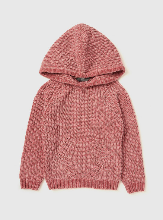 Chenille Textured Hooded Sweater with Long Sleeves