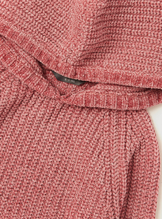Chenille Textured Hooded Sweater with Long Sleeves