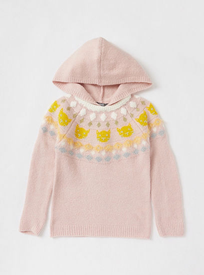 Fair Isle Embroidered Sweater with Hood and Long Sleeves