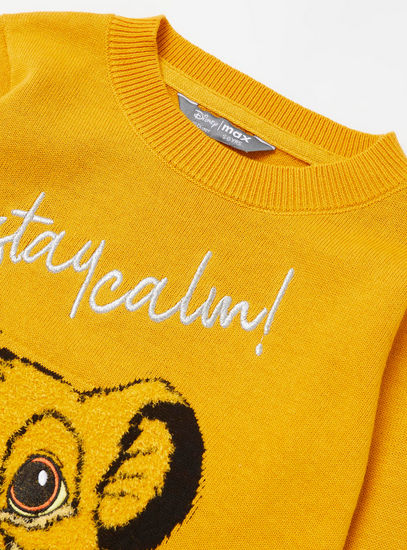 Simba Textured Sweater with Round Neck and Long Sleeves