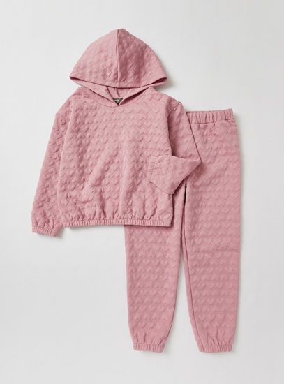 Textured Hooded Sweatshirt and Jog Pants Set