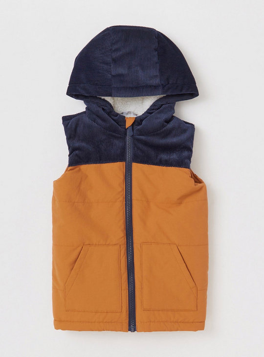 Solid Cut and Sew Sleeveless Jacket with Hood and Zip Closure