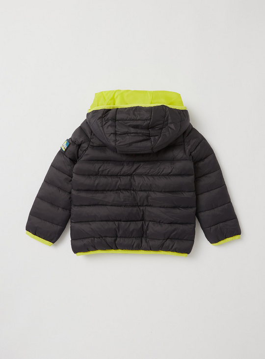 Solid Hooded Puffer Jacket with Long Sleeves and Pockets