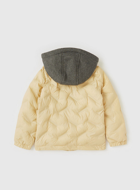 Quilted Zip Through Jacket with Hood and Long Sleeves