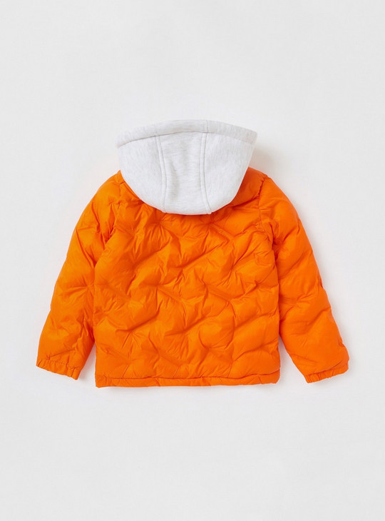 Quilted Zip Through Jacket with Hood and Long Sleeves