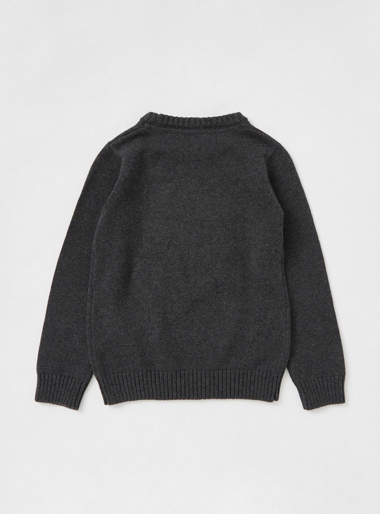 Textured Sweater with Round Neck and Long Sleeves