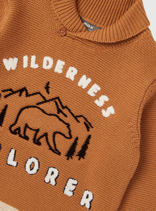 Textured Sweater with Long Sleeves and Embroidery Detail