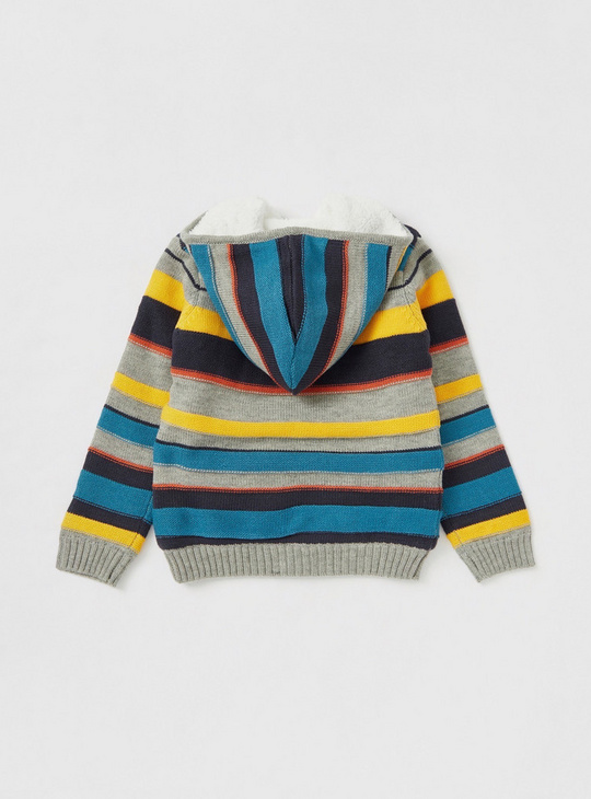 Striped Sweater with Hood and Long Sleeves