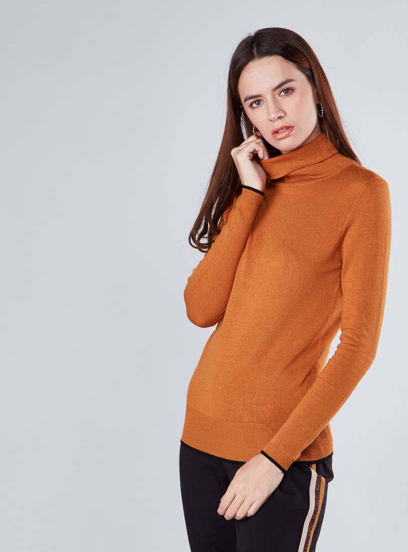 Shop Textured Sweater with Turtle Neck and Long Sleeves Online