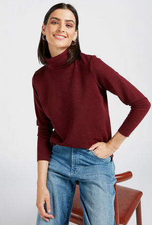 Solid Sweater with High Neck and Long Sleeves