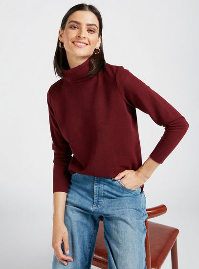 Solid Sweater with High Neck and Long Sleeves-Sweaters & Cardigans-image-0